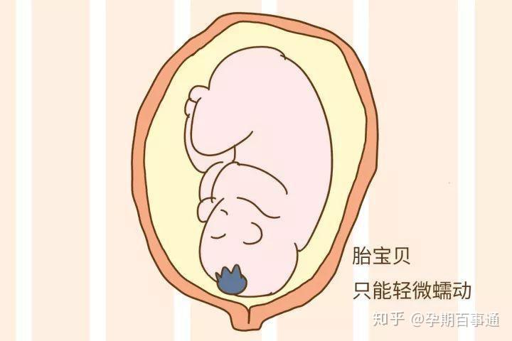 怀孕晚期一定要坚持数胎动！ - 知乎