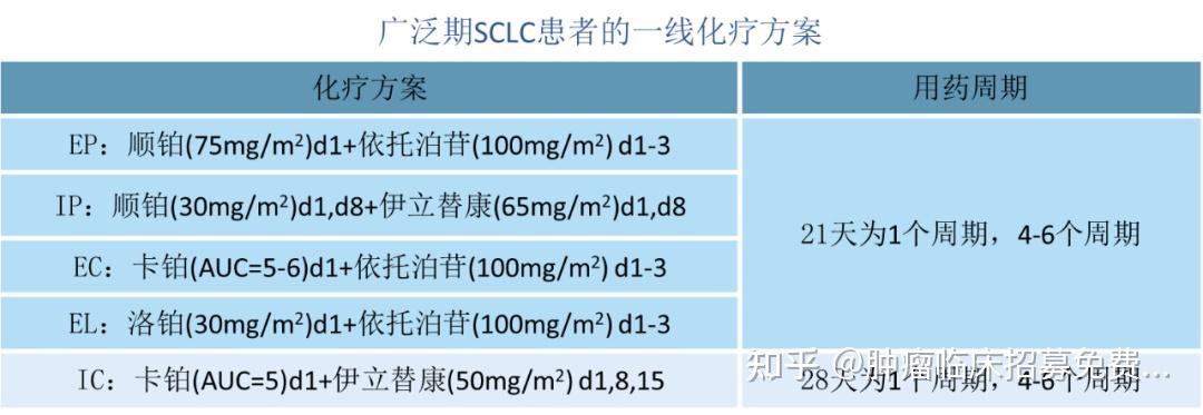 圖片依託泊苷聯合順鉑或卡鉑是一線治療的標準方案.