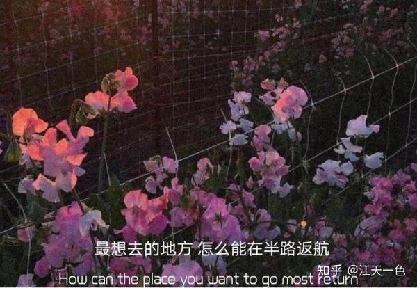 心情不错的抖音文案(30句适合各种心情的抖音文案句子~)