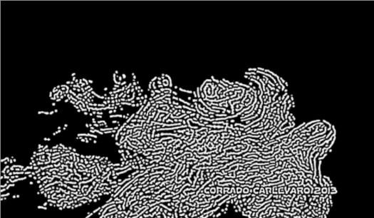 v2-c155431d25911bb94df8b1c2a9ee436f_r.jpg