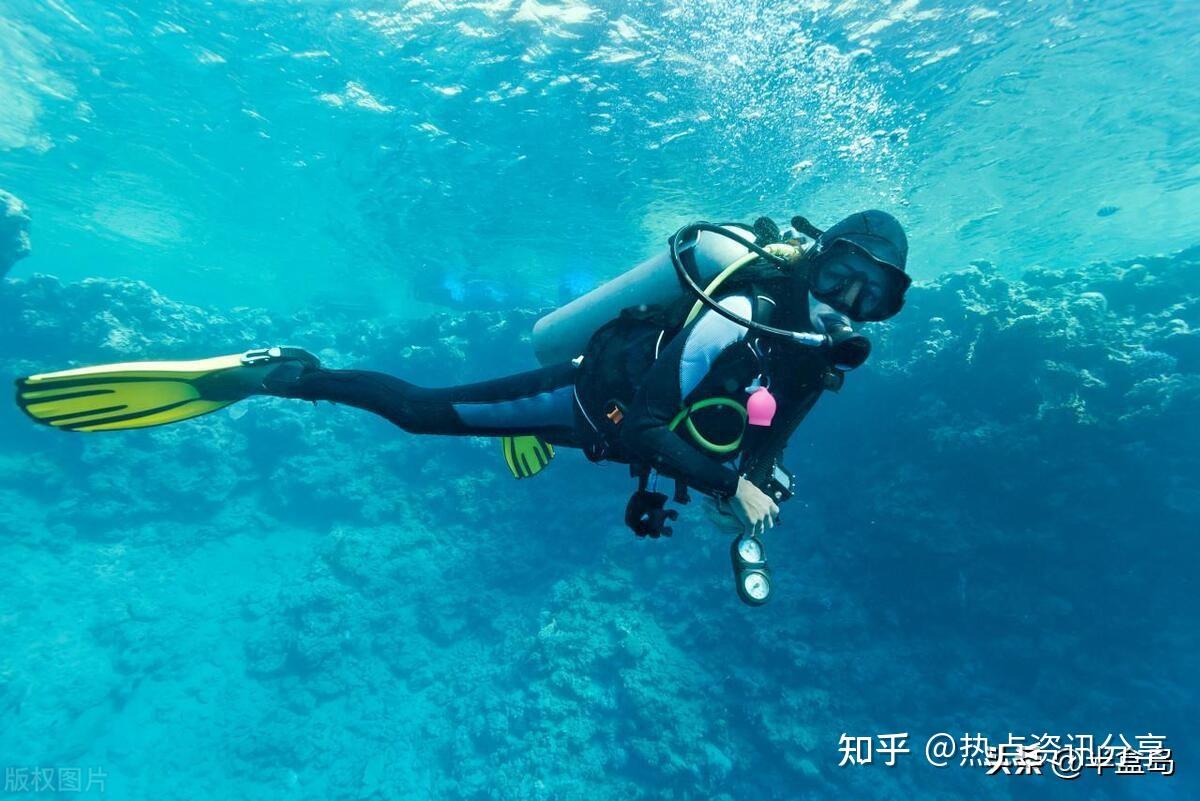 马尔代夫Fuvahmulah岛——虎鲨潜水全攻略（整理后转贴） - 知乎