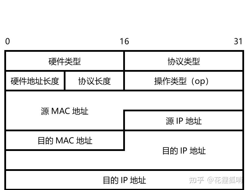 arp表项图片