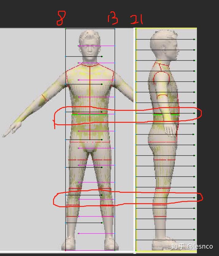 服装制版如何使用黄金分割比