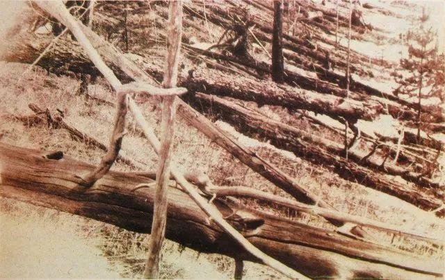 千古之谜 ——1908通古斯(Tunguska)大爆炸 - 知乎