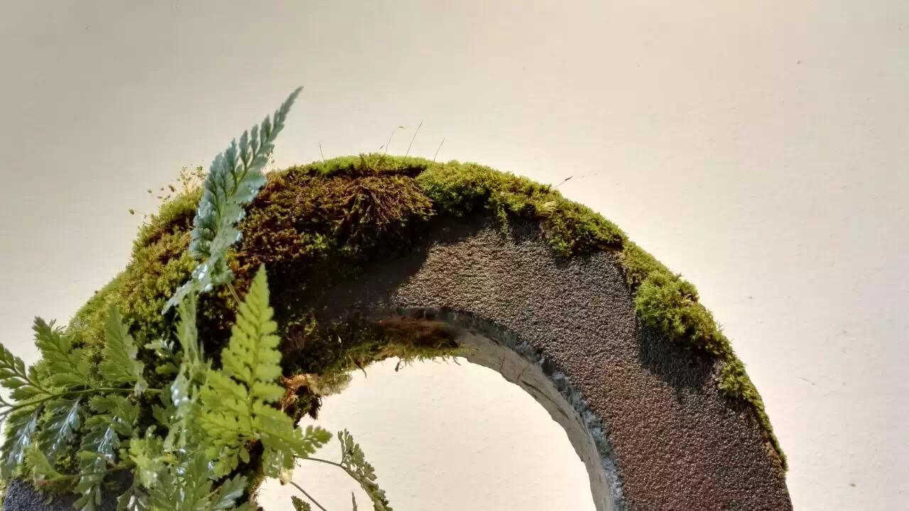 帖藓粘苔作山色 闭门无事任盈虚 花听 院主的二三事 知乎 帖藓粘苔作山色 闭门无事任盈虚 花听 院主的二三事 知乎