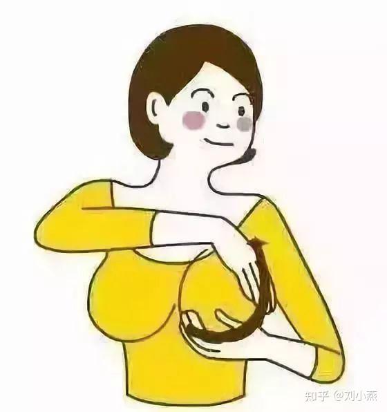 刘燕酿制10分钟胸部再发育让你速变d罩杯