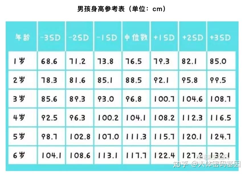 张亮儿子14岁身高直逼183cm的钱枫除了基因做好这些也能长得更高