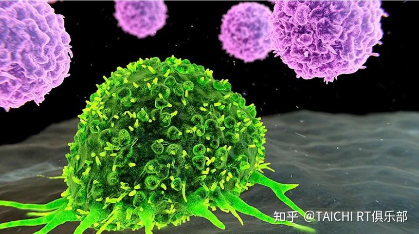 《Nature》&《Science》双顶刊前沿启示:放疗混合剂量激活免疫,TAICHI RT自带免疫调控! - 知乎