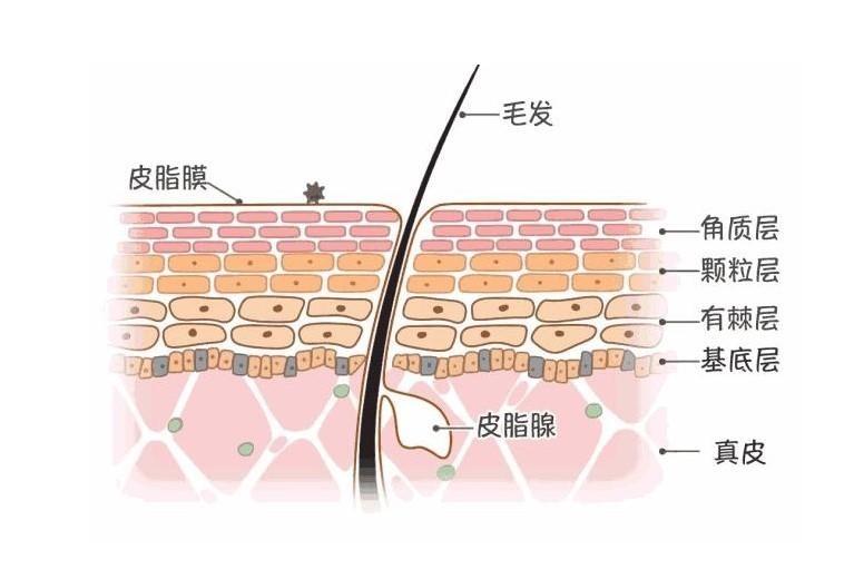 v2-c231727c6b846977a3a25dd4a9babd1b_r.jpg