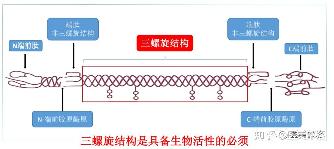 医美 | 江苏吴中：引进