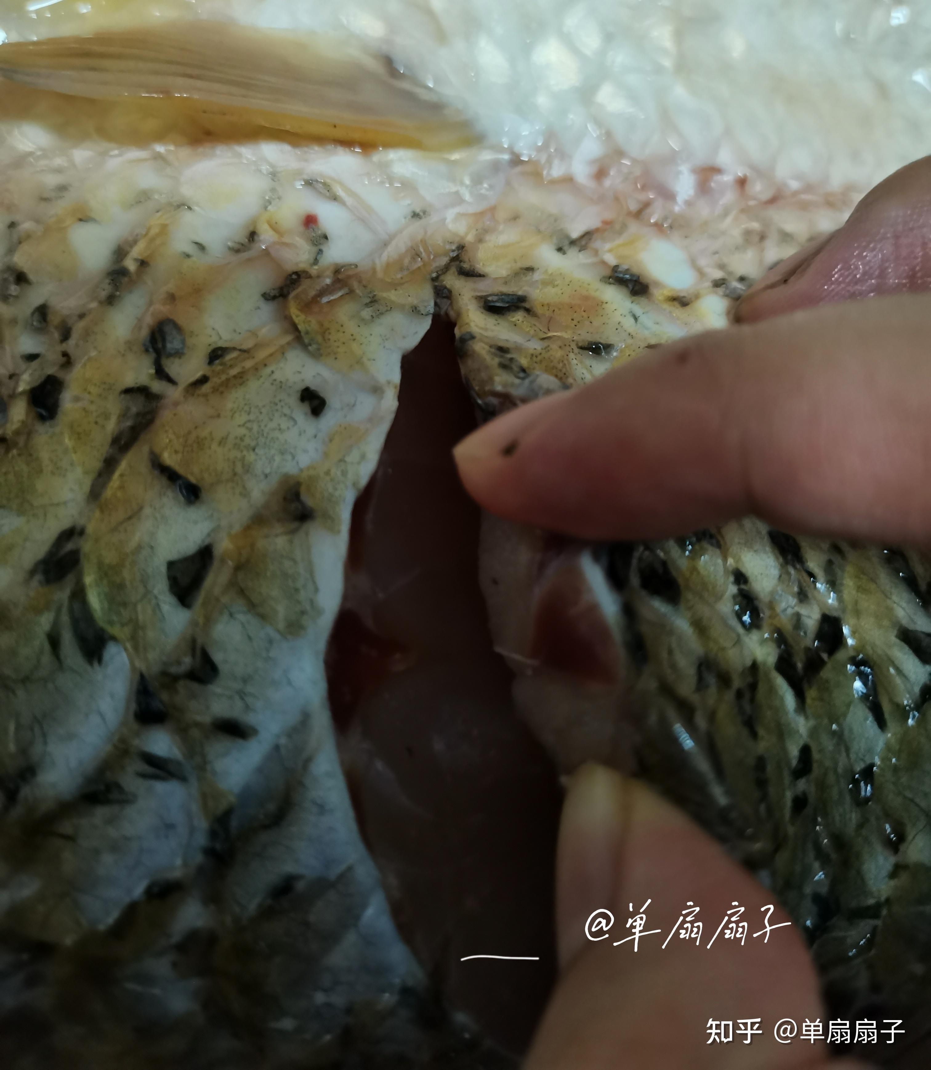 我用烤箱搞肉吃跟大学附近烤鱼摊一样好吃的巫山烤鱼