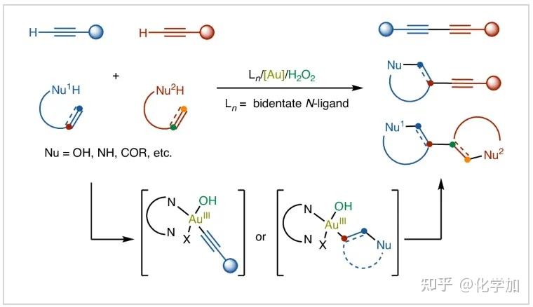 Nat. Chem.:H₂O₂作氧化剂,双齿氮配体协助的金氧化还原催化反应 - 知乎