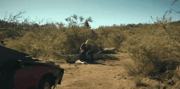 《双雌大盗》豆瓣8.7，近期最佳！