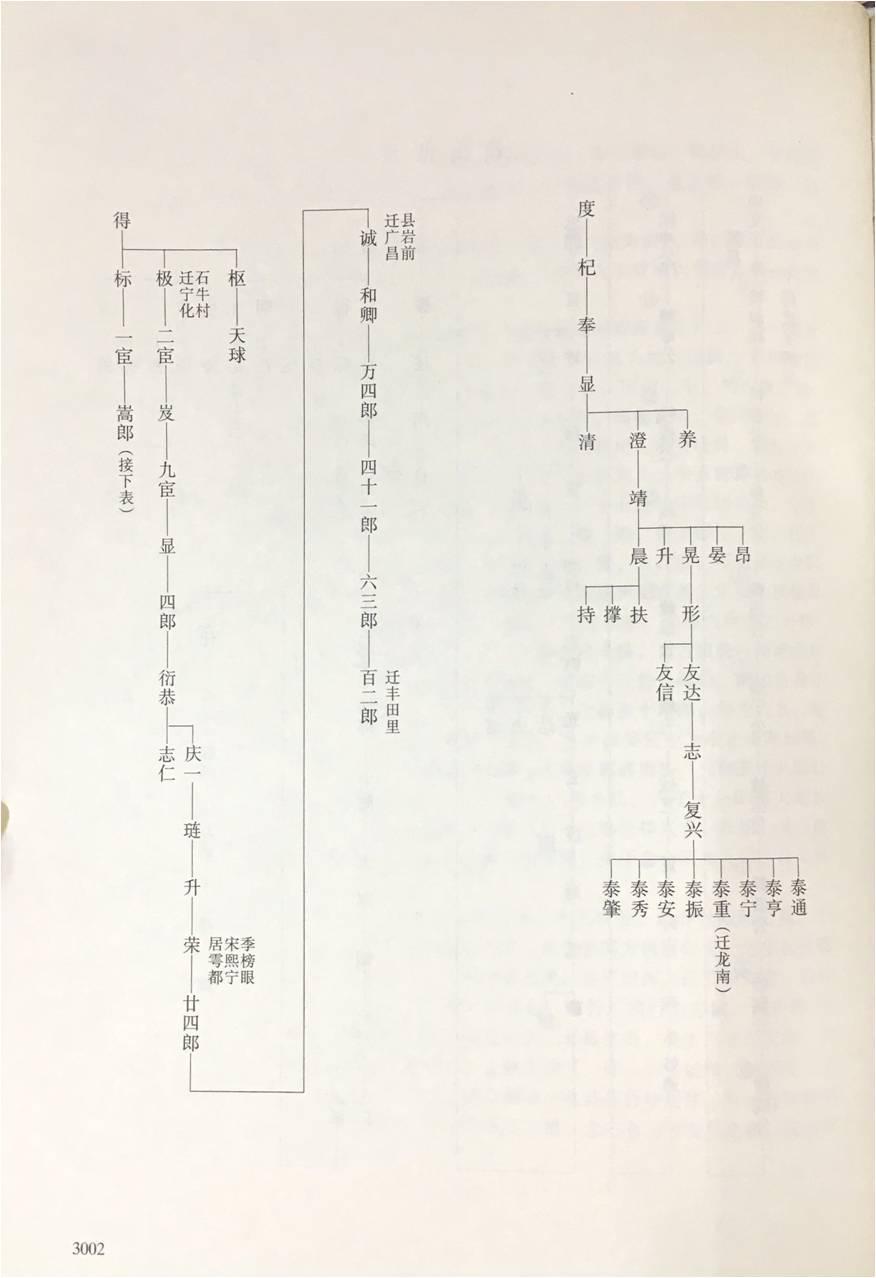 赖布衣族谱图片