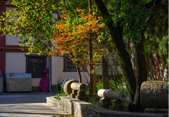 西府古镇旅游攻略（西府老街在什么地方）《西府老街文化旅游景区》