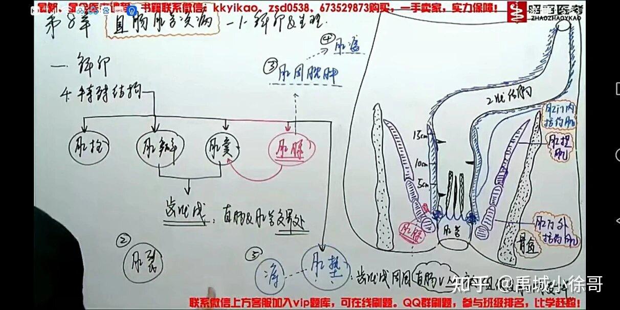 痔疮不出血就不严重?千万别踩坑! - 知乎