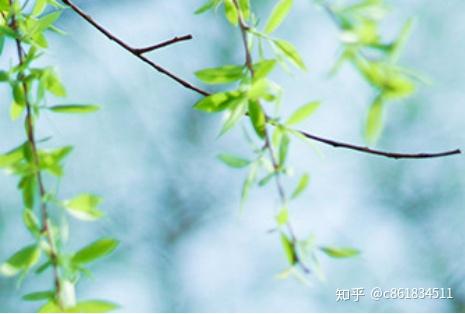 非常时期 祝春安 知乎