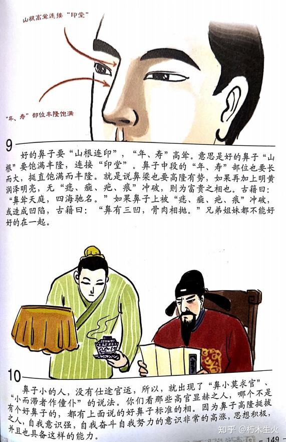 东山相法(东山面相)——第二十三篇:五官 审辨官(鼻子) - 知乎