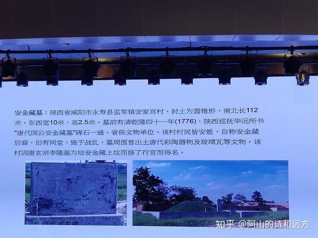 唐代胡人是什么形象?胡人对唐朝产生了什么影响?且听杨瑾解读 - 知乎