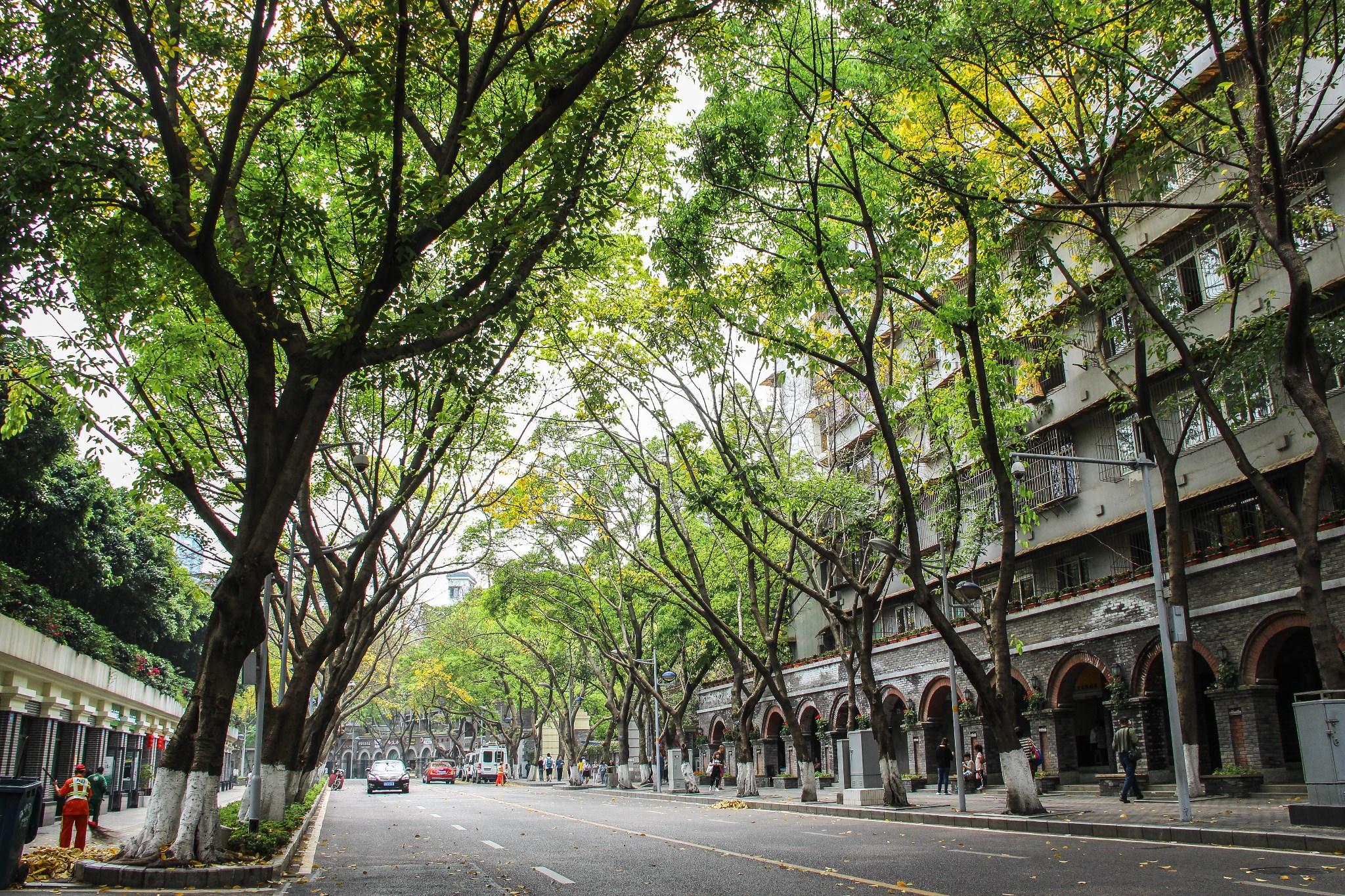 這條歷史意義重大的路上,分佈著周公館,桂園,戴笠公館舊址,張驤公館