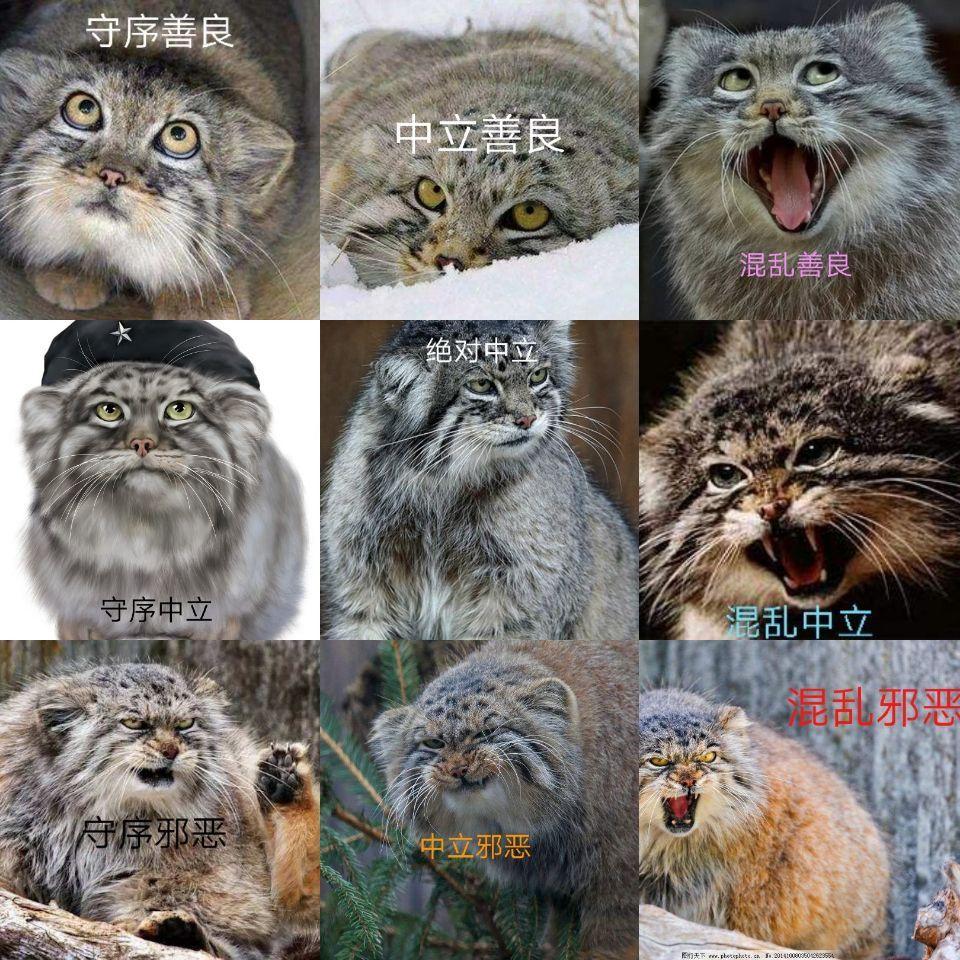 兔狲的阵营九宫格萌萌哒兔狲表情包