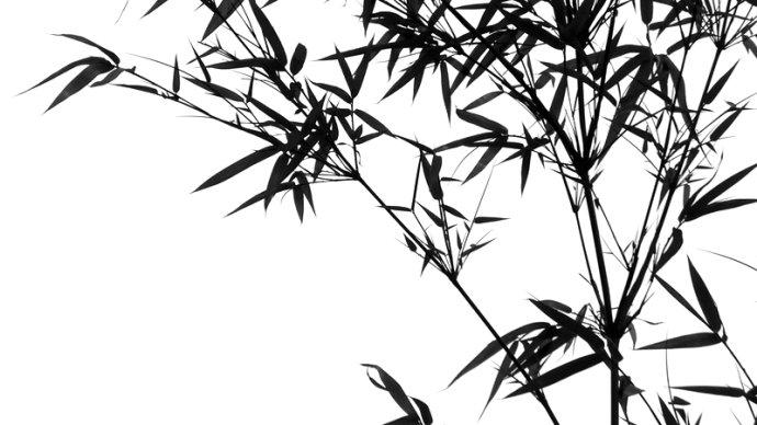 高清水墨画图片带您走进风骨墨竹图的世界 知乎 高清水墨画图片带您走进风骨墨竹图的世界 知乎