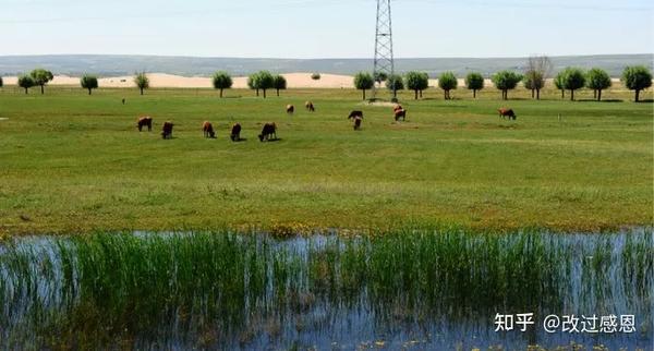 有一件事 中国默默做了40年 却在最近突然被发现 知乎 有一件事 中国默默做了40年 却在最近突然被发现 知乎