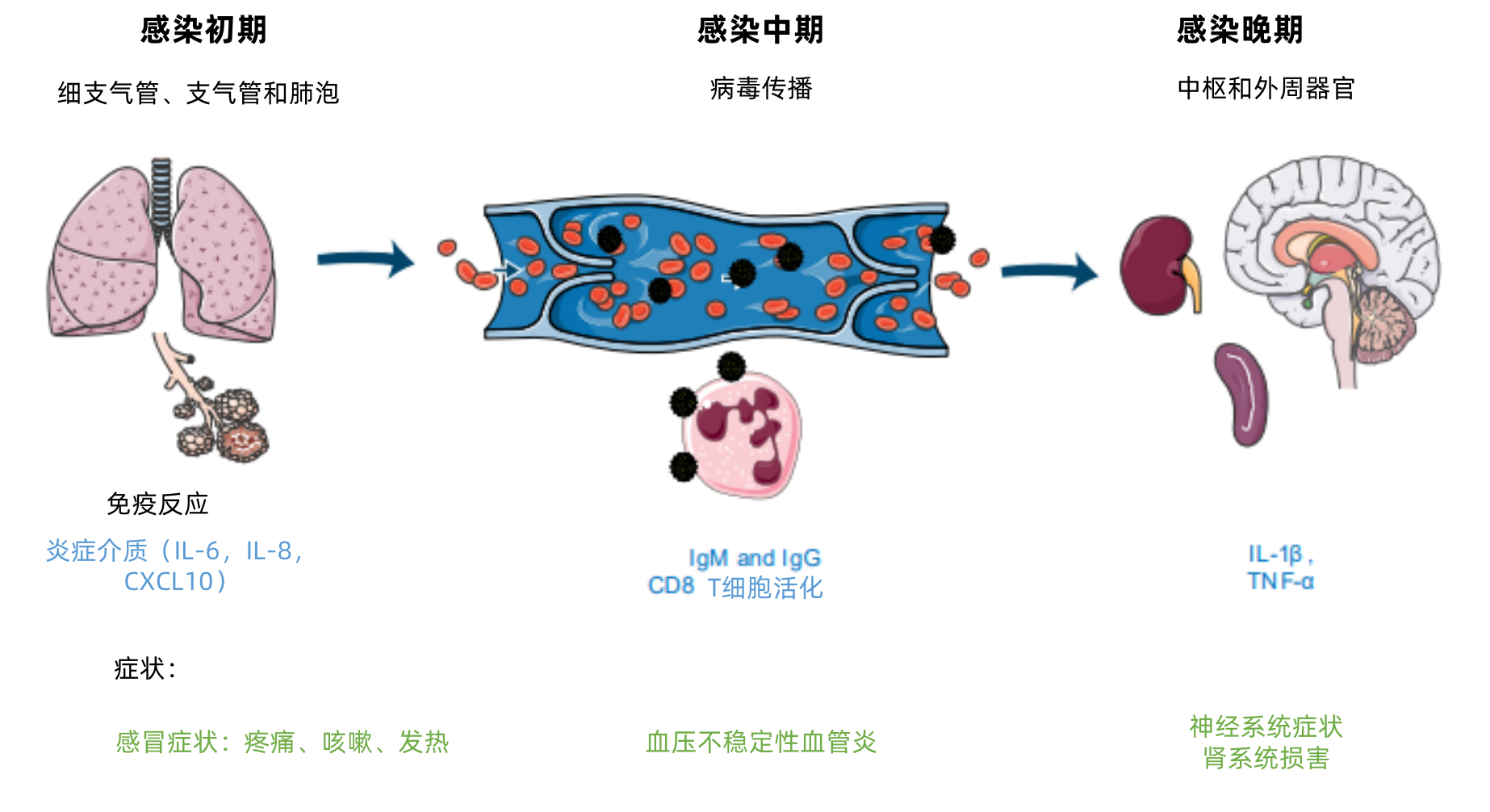 警惕!新病毒"狼牙"! - 知乎