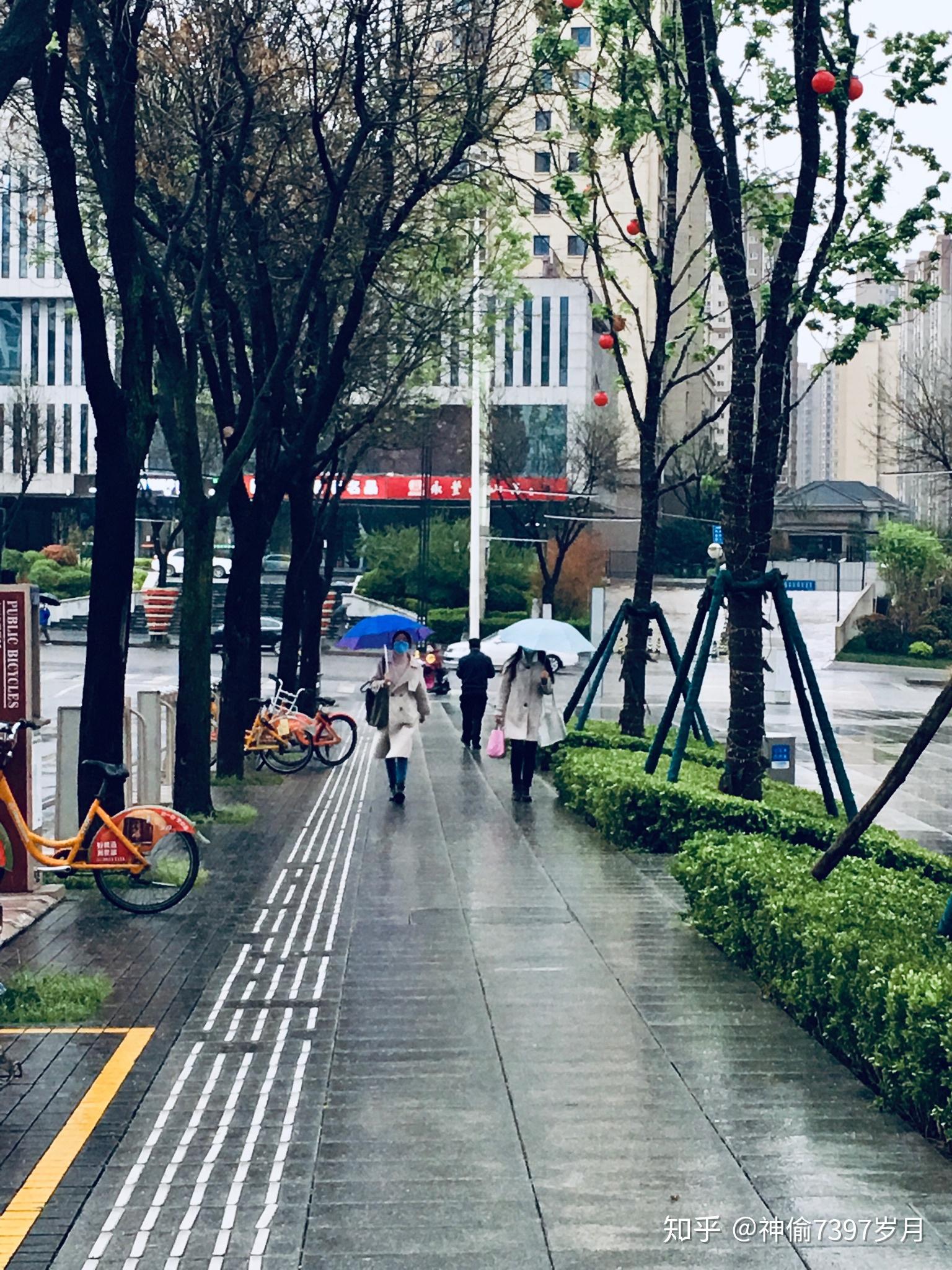 雨中行走