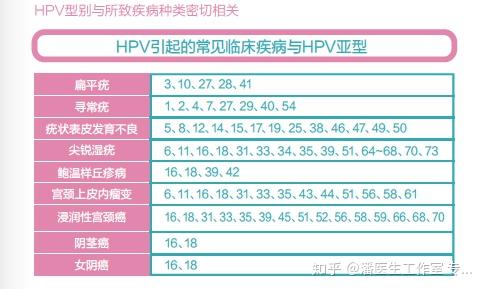 三,人乳头瘤病毒(hpv)与相关疾病