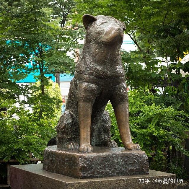 忠犬八公铜像地址图片