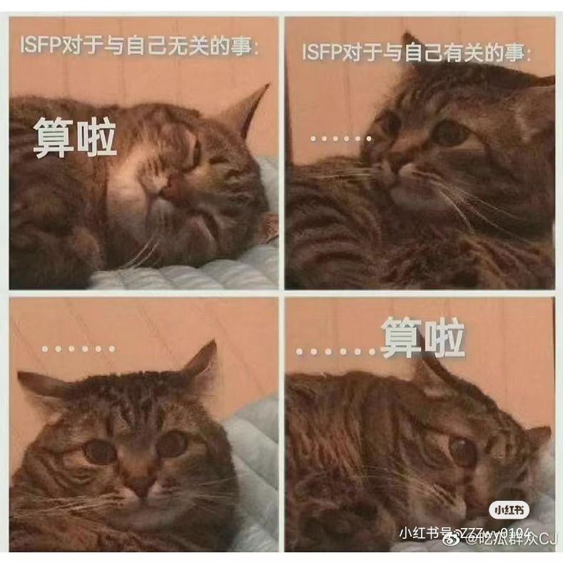 ISFP梗图一览 - 知乎