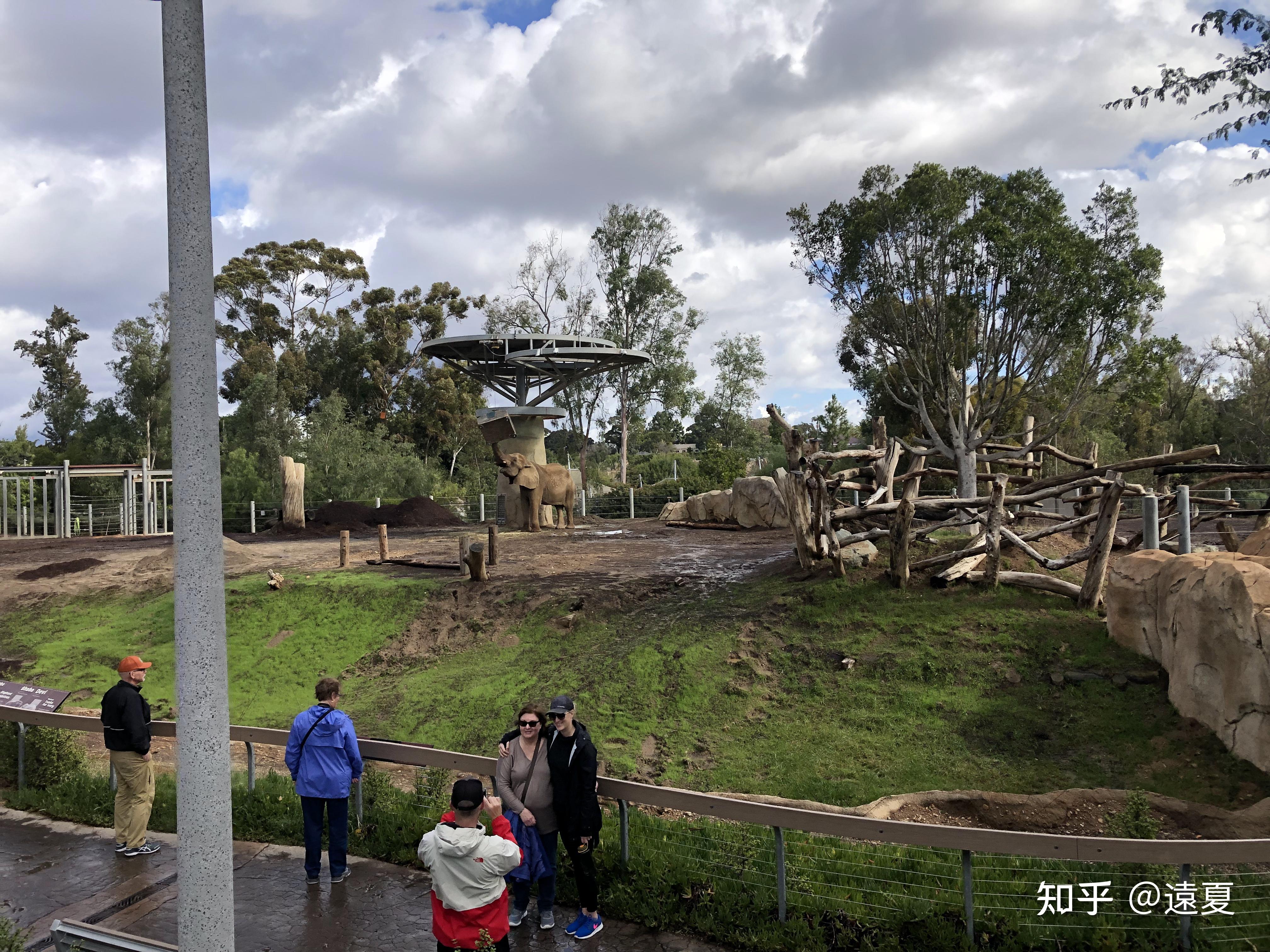 在金坷垃的故鄉有著美國最好的動物園聖地亞哥動物園1