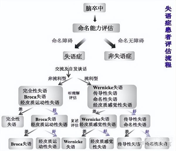 如何确定失语症