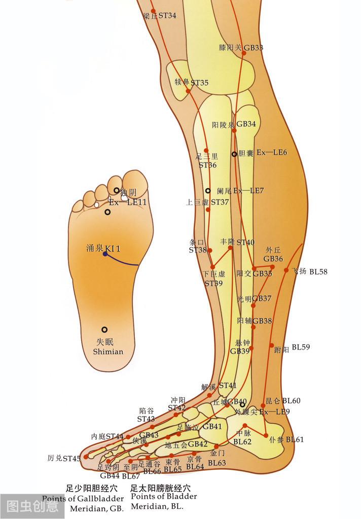 认识经络