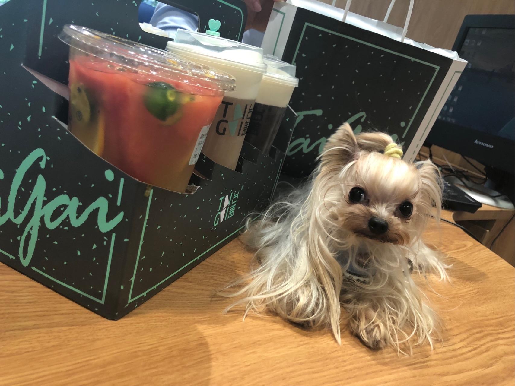 医院有的护士特别嚣张态度很差怎么办啊?