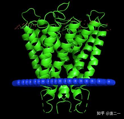 分子动力学模拟——膜蛋白体系的搭建(Amber & Charmm-gui) - 知乎
