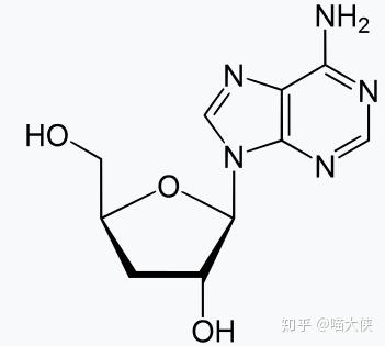 「知乎知识库」- 核酸类似物