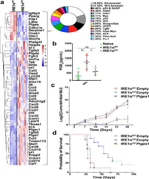 鹰谷靶点 | 科学家发现肺癌细胞逃逸免疫的新靶点IRE1α-XBP1 - 知乎