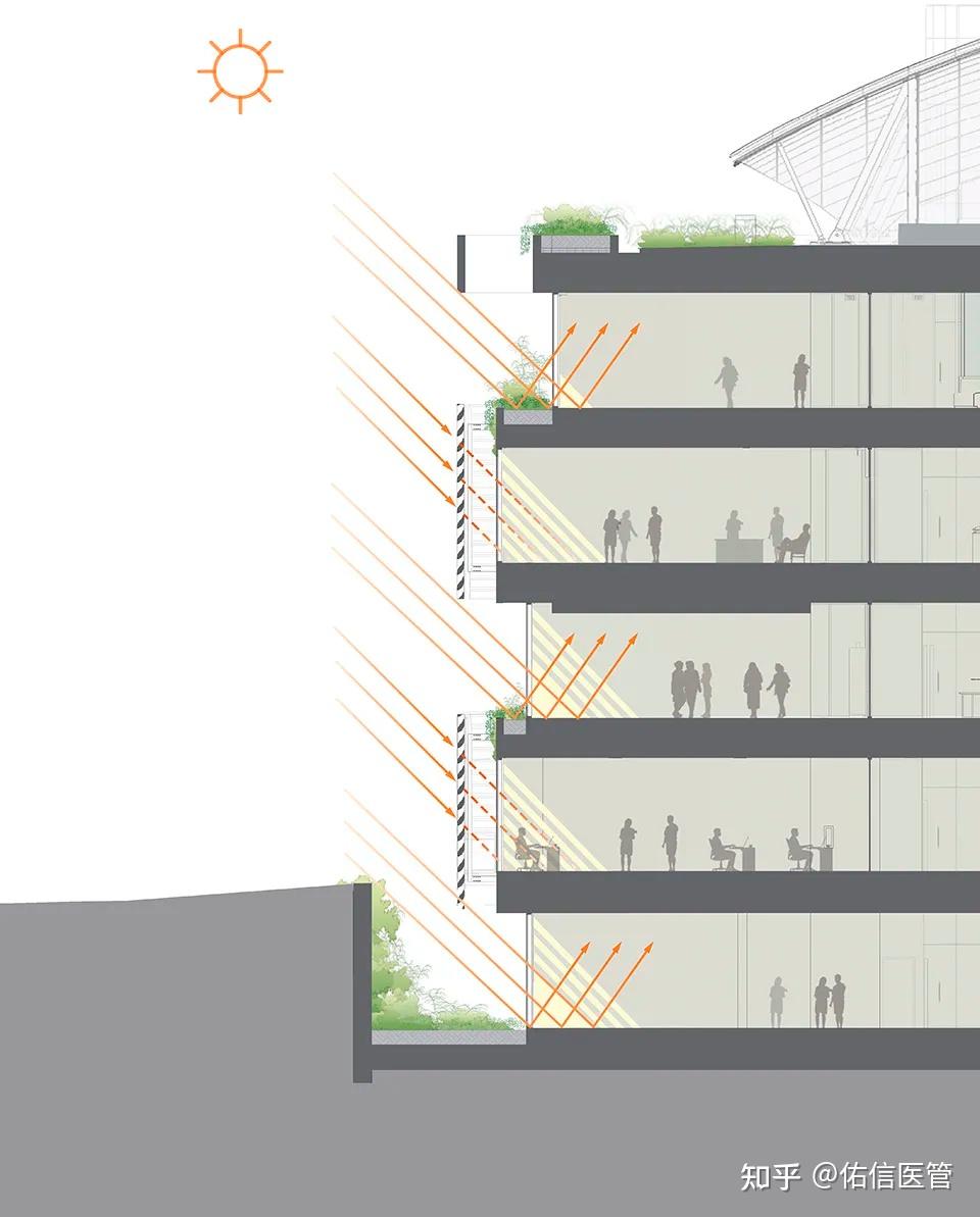 带给人通透和振奋之感的多层花园阿尔伯特爱因斯坦医学