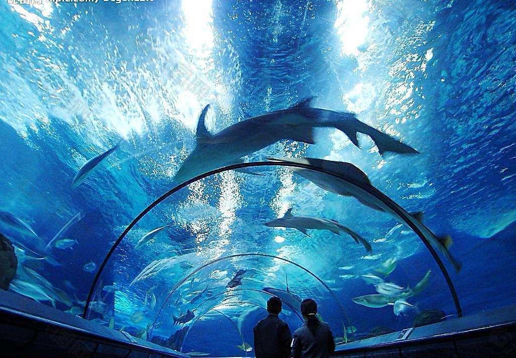 世界上最大的海洋馆图片