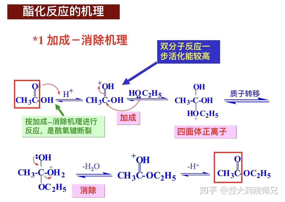 暨南大学药学院考研-机理2