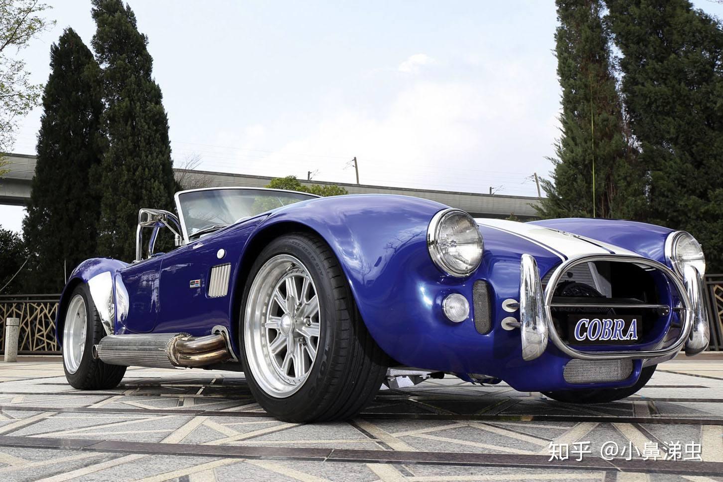 不灭神话 ac cobra(眼镜蛇)