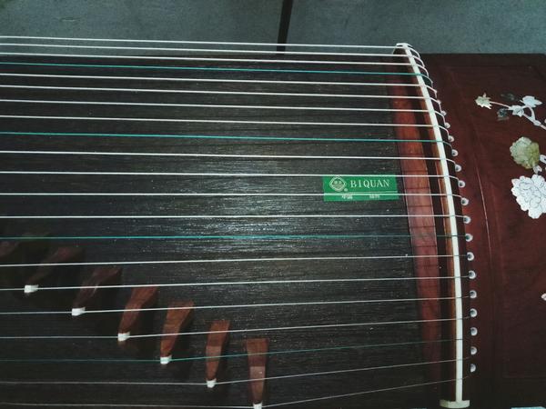 会一种不便携的乐器(包括但不限于大提琴,竖琴,古筝,扬琴)是一种什么