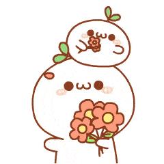 有点小激动,同志们,撒花欢迎.美其名为——写给自己的全屋整理报告.