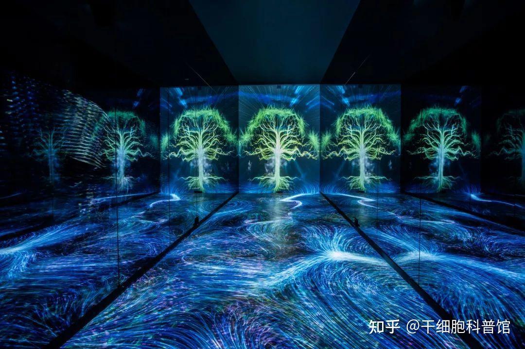 干细胞展厅设计“破解生命密码的钥匙”|沉浸式体验细胞海洋 | 思威图数字 | 干细胞科普馆 | 再生医学展厅设计公司 | 长寿科技展厅 | 抗 ...