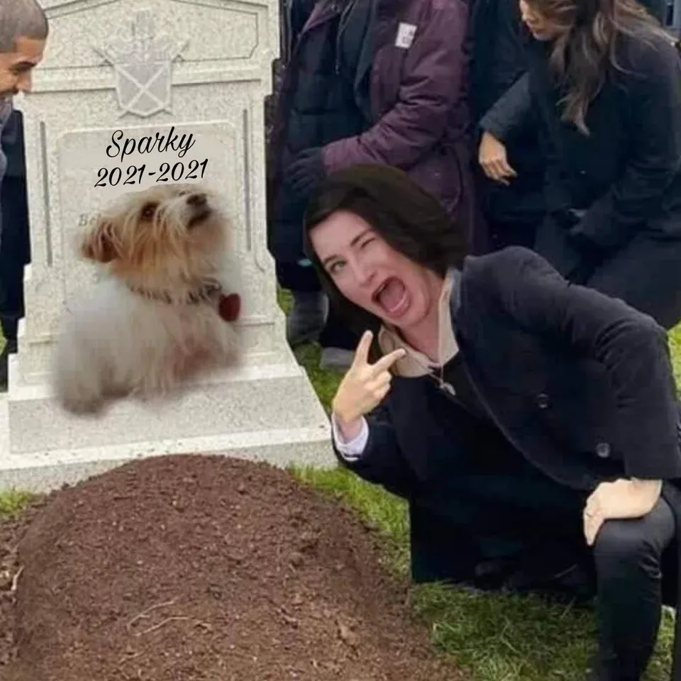 你被阿加莎哈克尼斯圈粉了吗