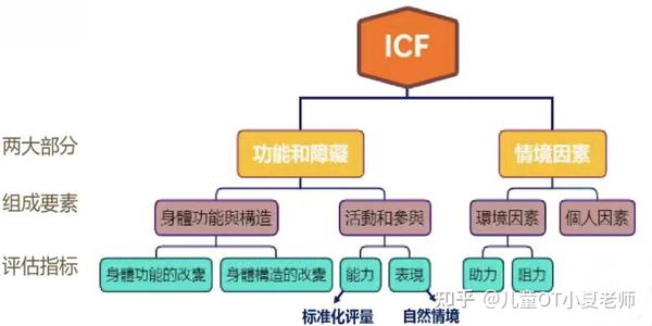 作业治疗框架二《ICF国际功能、失能和健康分类》 - 知乎