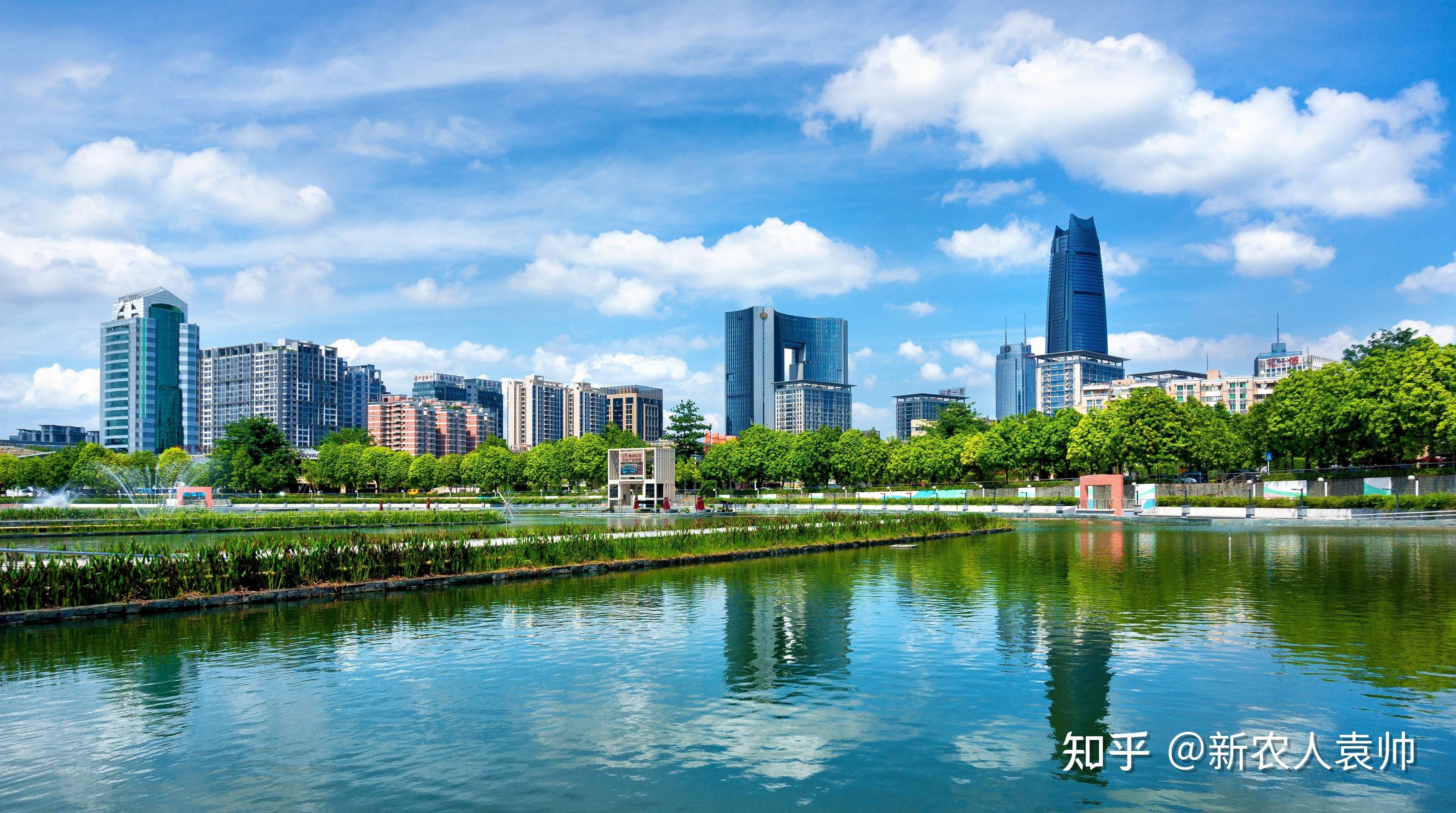 焦点|新年大湾区招商引资忙!