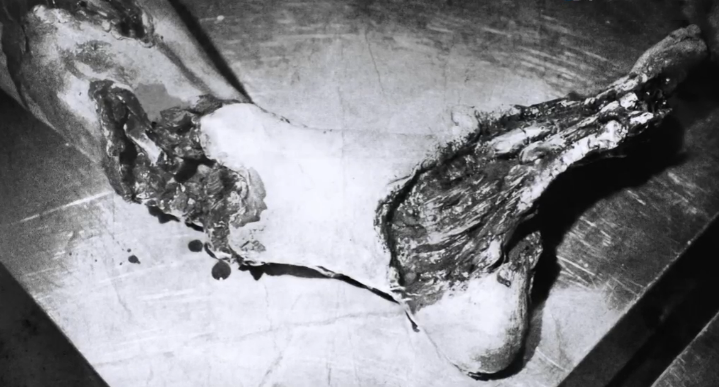 提姆达洛食人案:新几内亚原始艺术的谜团 - 世